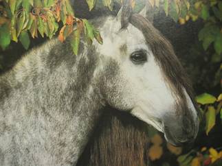 CHEVAL